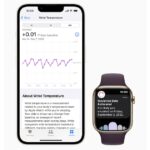 Apple Watch Series 8 adds ovulation estimates, car crash detection