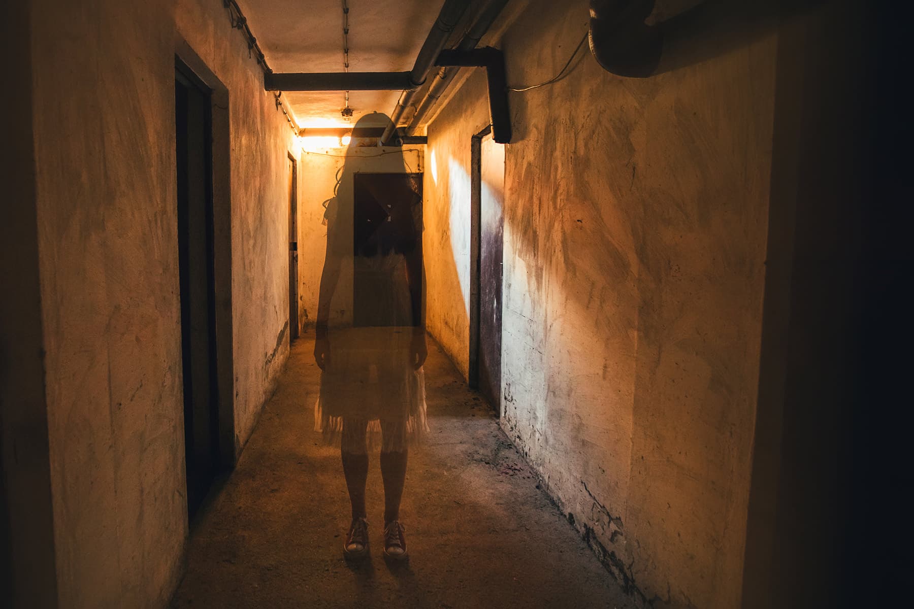 Why We Love Scary Movies