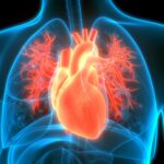 COVID Attacks DNA in Heart, Unlike Flu, Study Says