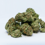 The Complete Guide To The Legendary BC Bud