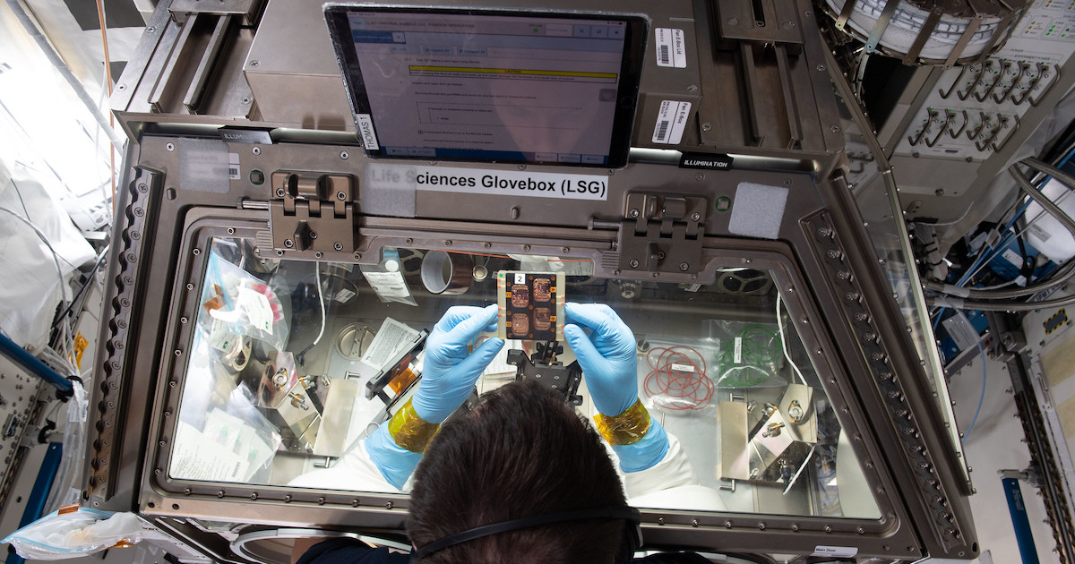 SpaceX astronauts bring ISS National Lab-sponsored research to orbiting laboratory