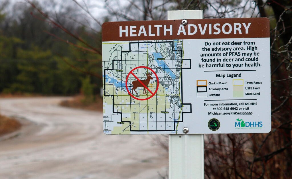 PFAS in Deer Prompts Health Warnings for Hunters